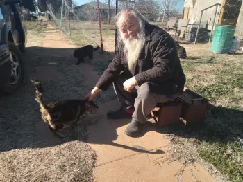 Man petting a cat outside